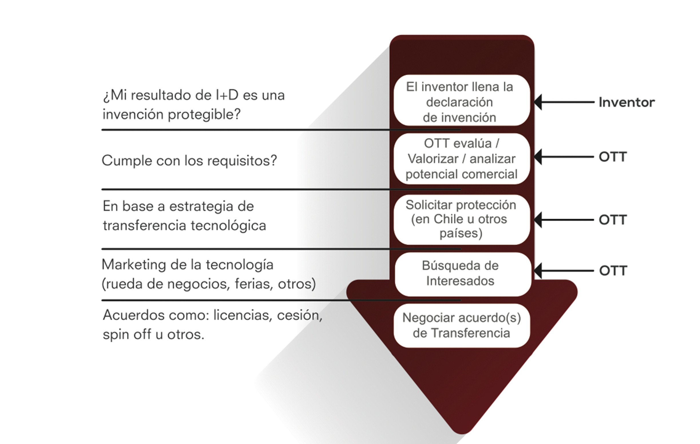 Proceso Oficina De Transferencia Tecnol Gica