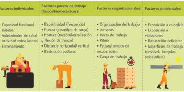 manual de carga y de pacientes en Chile